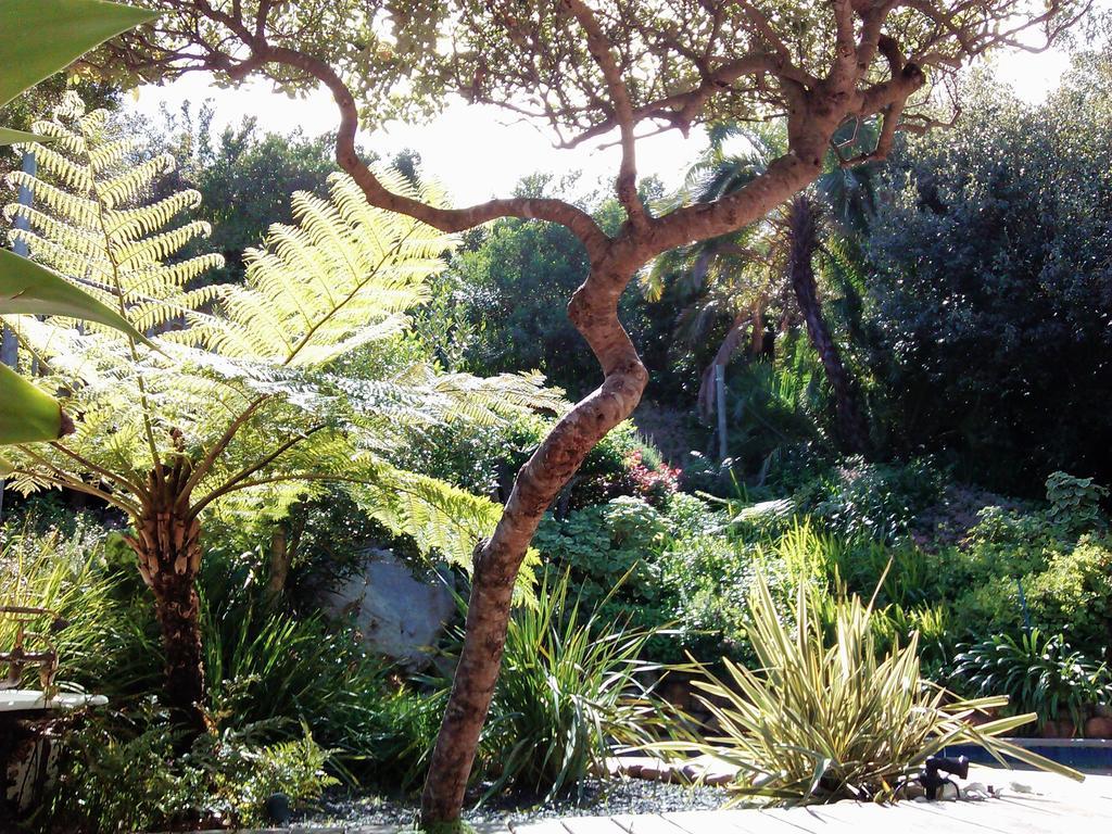 Hout Bay Hideaway Hotel Kültér fotó